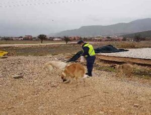 Kokuteli’de jandarmadan anlamlı davranış