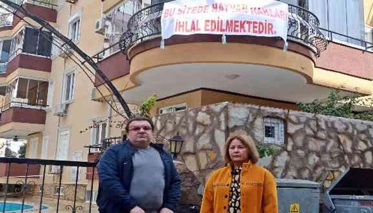 Beslediği sokak kedilerinin mamaları toplatılınca çılgına dönen Hollandalı’dan pankartlı tepki