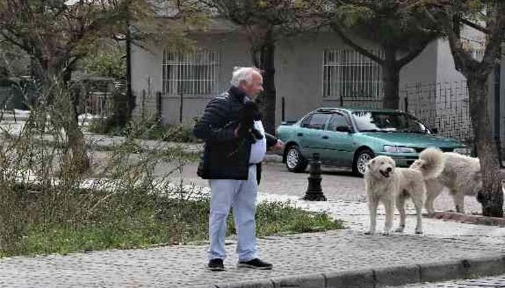 Mahra’nın ölümüne sebep olan köpekler mahallede korku salmaya devam ediyor