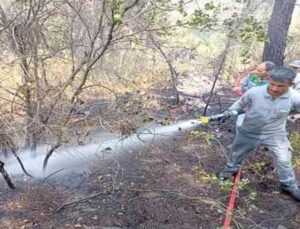 Antalya’da orman yangını büyümeden söndürüldü