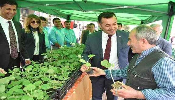 Vatandaşlara su kabağı fidesi dağıtacak