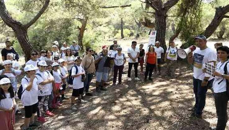 Ormandan torbalarca çöp çıktı