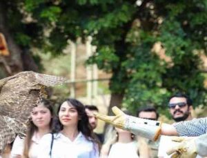 Tedavi edilen yırtıcı kuşlar doğaya bırakıldı