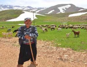 Antalya’da Yörüklerin karla kaplı yayla serüveni başladı