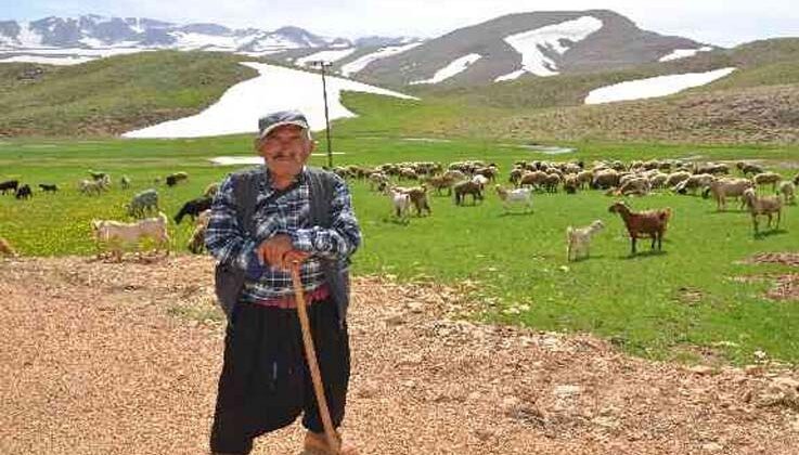 Antalya’da Yörüklerin karla kaplı yayla serüveni başladı