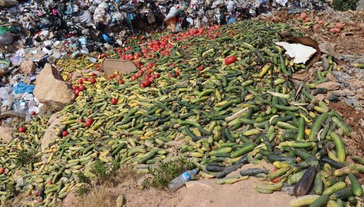 Antalya’da çöpe dökülen sebze açıklaması: “İnsan sağlığını tehdit eden ürünler”