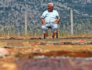 Antalya’da tarlalarda milyonluk ‘organik halı’ nöbeti