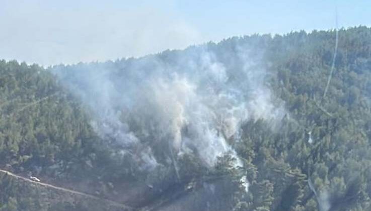 Antalya’da çıkan orman yangını kontrol altına alındı