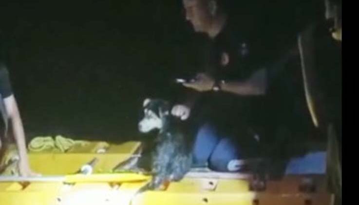Irmakta mahsur kalan köpeğe itfaiyeden kanoyla kurtarma