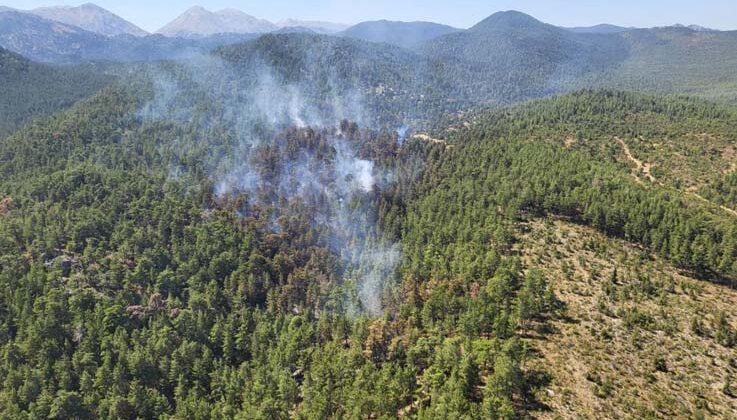 Antalya’da orman yangını kontrol altına alındı