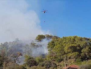 Antalya’daki orman yangını kontrol altına alındı