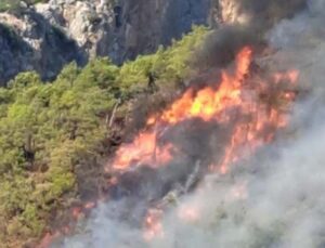 Antalya Adrasan’da orman yangını