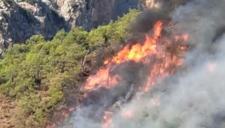 Antalya Adrasan’da orman yangını