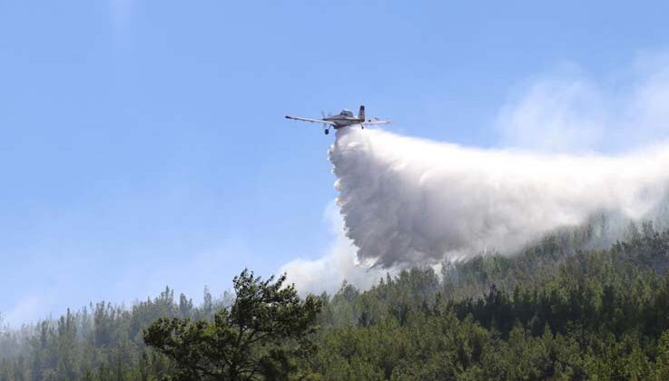 Alanya’daki orman yangını kontrol altına alındı