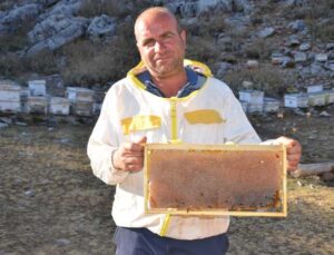 Siparişler kovandan çıkmadan alınıyor, kilogramı 300 TL’den satılıyor