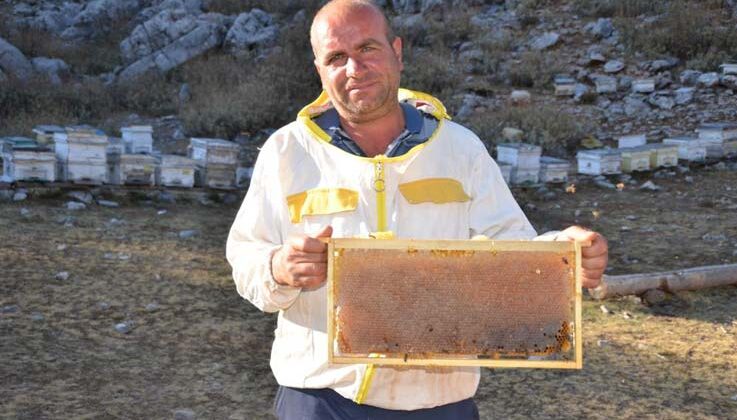 Siparişler kovandan çıkmadan alınıyor, kilogramı 300 TL’den satılıyor