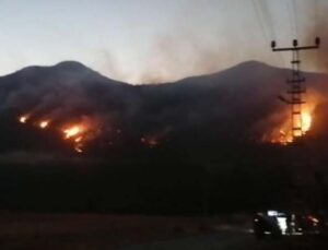 Kaş’ta orman yangınına havadan ve karadan müdahale sürüyor