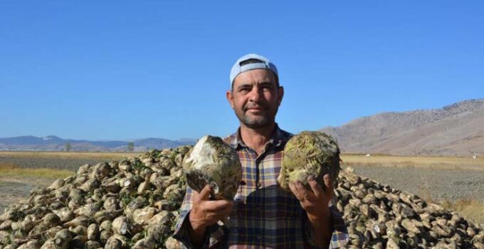 Korkuteli’nde şeker pancarında yüksek rekolte yüzleri güldürdü