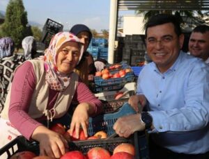 Başkan Tütüncü, nar hasatında