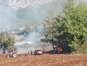 Antalya’da zeytinlikte yangın