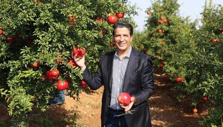 Döşemealtı’nda Nar Çalıştayı düzenlenecek