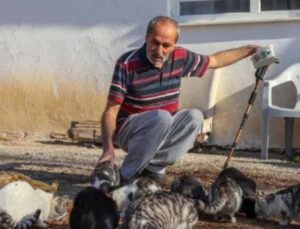 Bulduğu kör kediye baktı, mahalledeki kedilerin ‘dedesi’ oldu