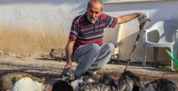 Bulduğu kör kediye baktı, mahalledeki kedilerin ‘dedesi’ oldu