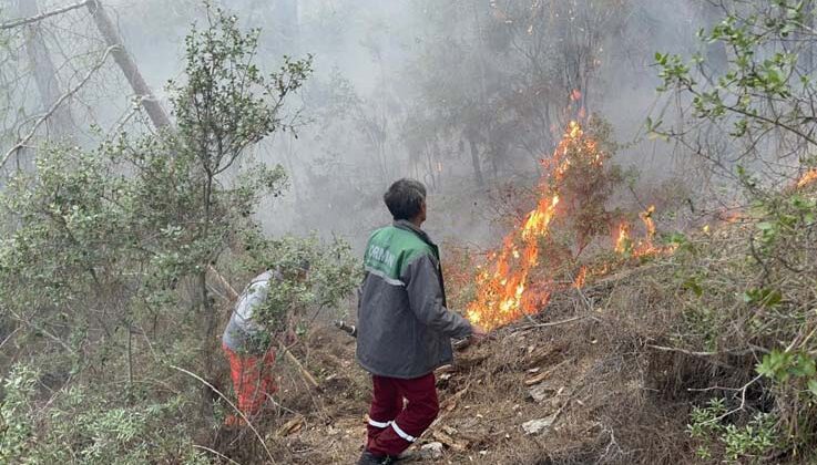 Alanya’da orman yangınında yaklaşık 10 dönüm zarar gördü
