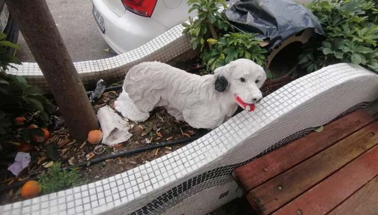İş yerinin önündeki 25 liralık köpek maketlerini çaldılar