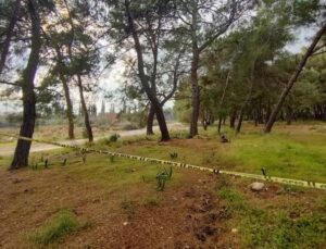Kolları ve kafası olmayan ceset gizemini koruyor
