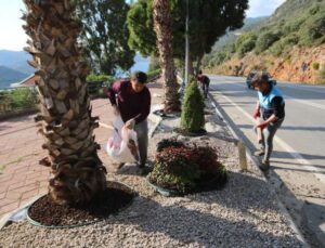 Kaş’ta peyzaj çalışmalarında 4 bin 625 bitki dikildi