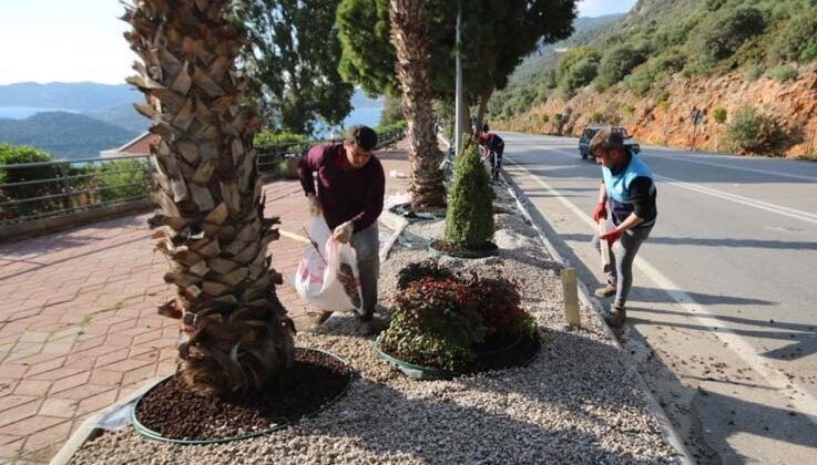 Kaş’ta peyzaj çalışmalarında 4 bin 625 bitki dikildi