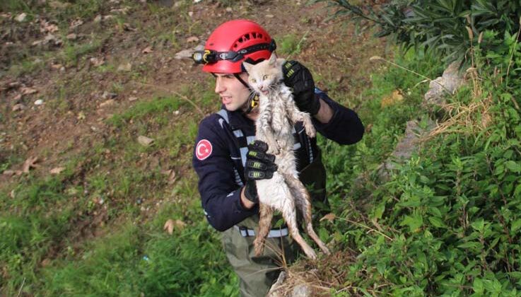 Derede mahsur kalan kedi, itfaiyeye zor anlar yaşattı