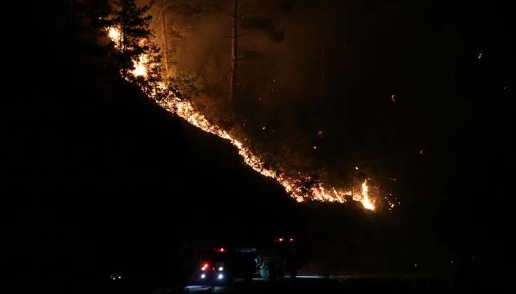 Alanya’daki orman yangını kontrol altına alındı