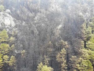 Alanya’da yanan ormanlık alan havadan görüntülendi