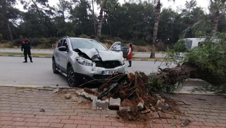 Kontrolden çıkan otomobil kaldırımdaki ağacı yerinden söktü: 1 yaralı