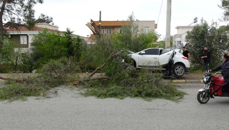 Manavgat’ta kontrolden çıkan otomobil ağaca çarptı: 1 yaralı