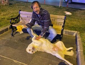 Hurda toplayarak geçimin sağlayan adamın sokak köpeği şefkati