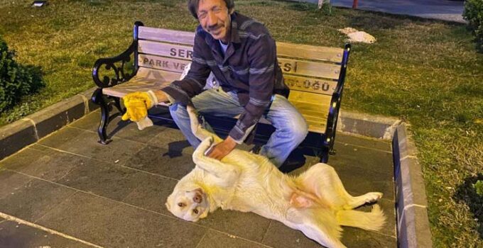 Hurda toplayarak geçimin sağlayan adamın sokak köpeği şefkati
