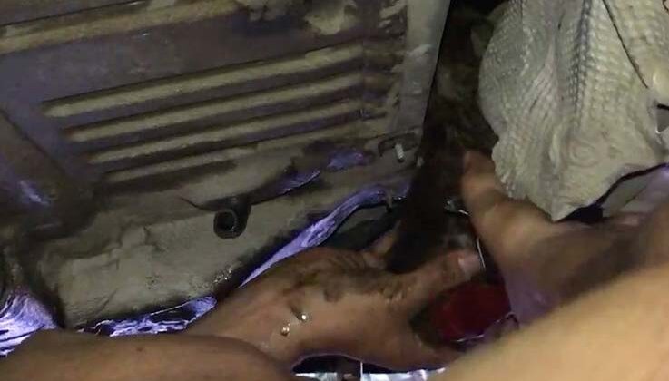 Otomobile giren yavru kediyi turizm çalışanları kurtardı