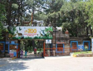 Antalya, ‘Hayvanat Bahçeleri’ toplantısına ev sahipliği yapacak