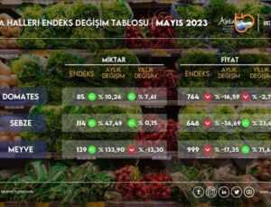 Antalya’da sebze fiyatlarında yüzde 36,69 düşüş