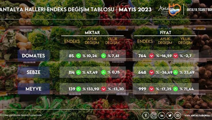 Antalya’da sebze fiyatlarında yüzde 36,69 düşüş
