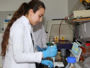 Akdeniz Üniversitesi’nden, lisans öğrencilerine yönelik projeye destek