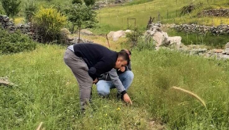 Bitki sağlığı ile ilgili kontroller tamam