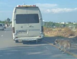 Minibüsün arkasına bağladığı köpeği zorla götürdü