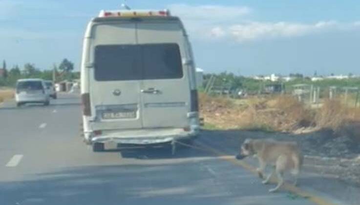 Minibüsün arkasına bağladığı köpeği zorla götürdü