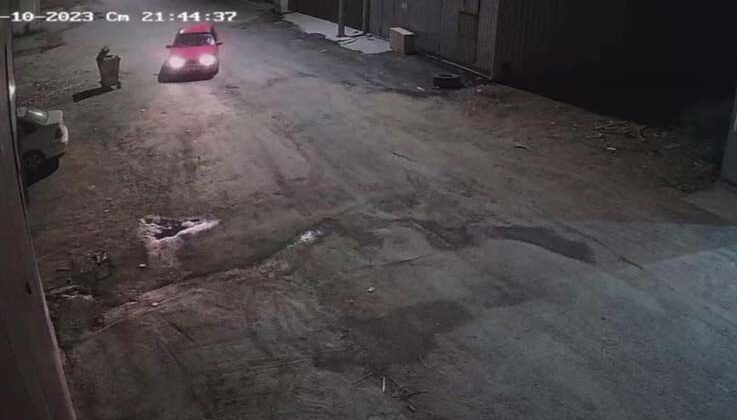 İş yerini bekleyen rottweiler cinsi köpekler hırsızlar tarafından çalındı