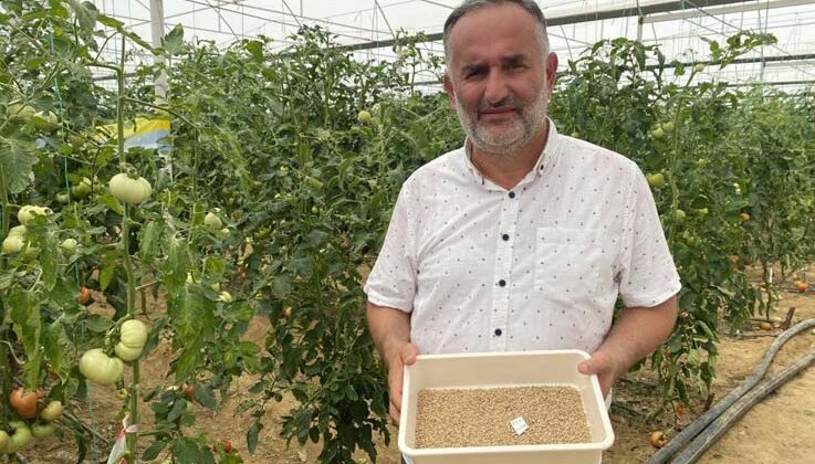 7 türde 50 çeşit tohumu 16 ülkeye ihraç ediyor
