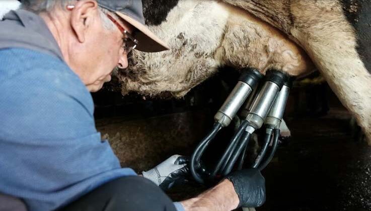 Büyükşehir Belediyesi’nden süt üreticilerine 6 tonluk süt soğutma tankı
